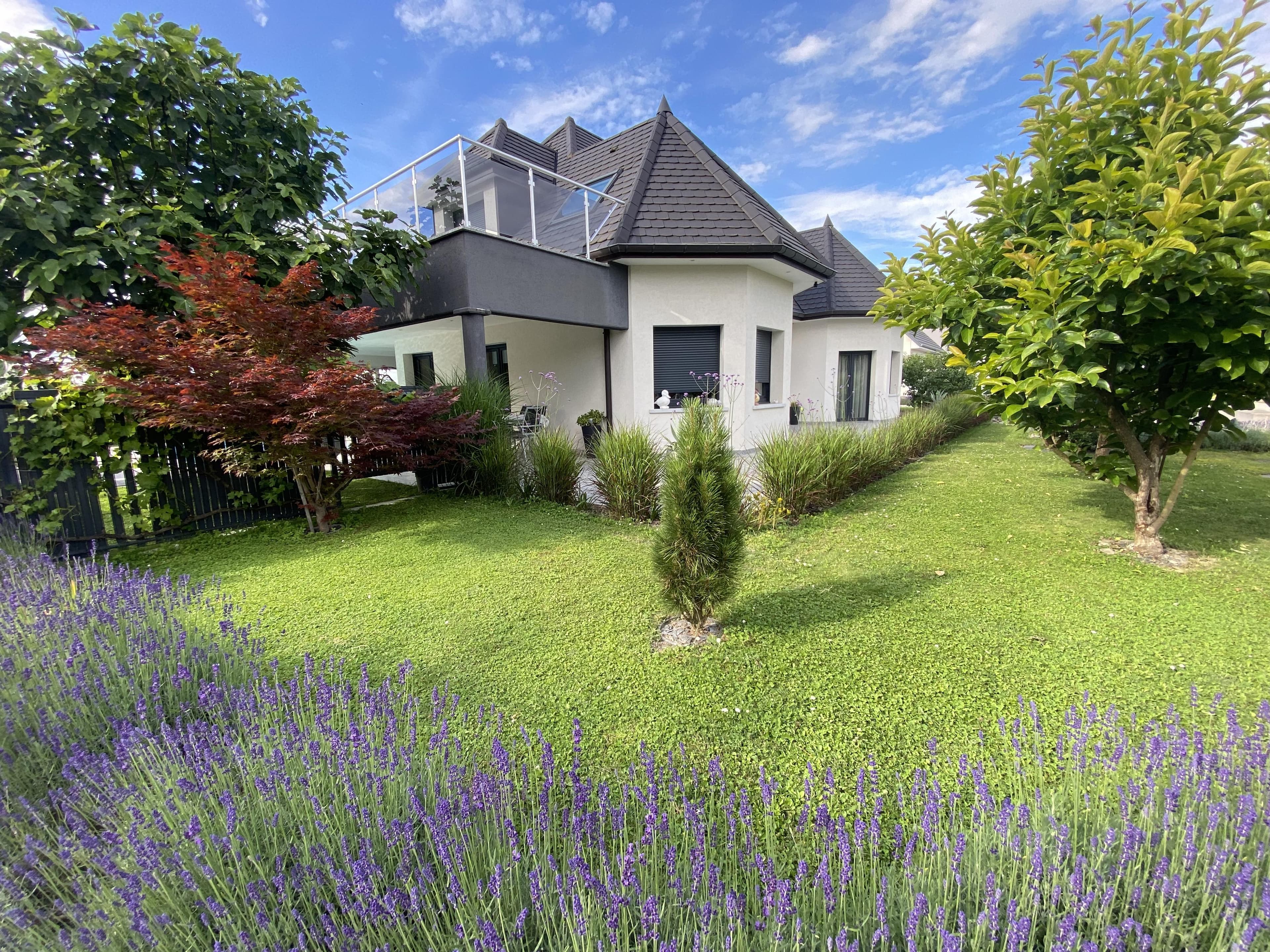Villa contemporaine d'architecte avec jardin paysager et piscine — photo 1
